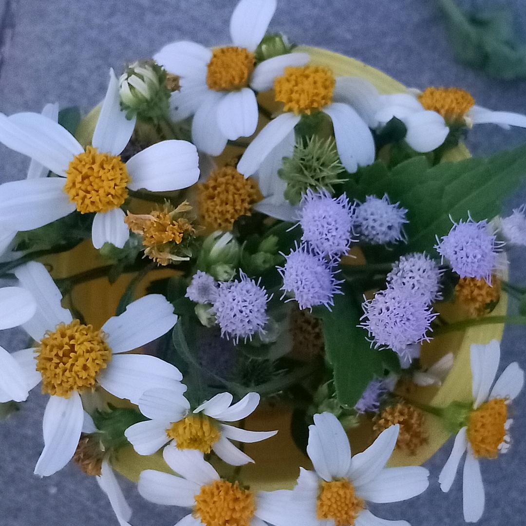 还能耿耿于怀什么呢