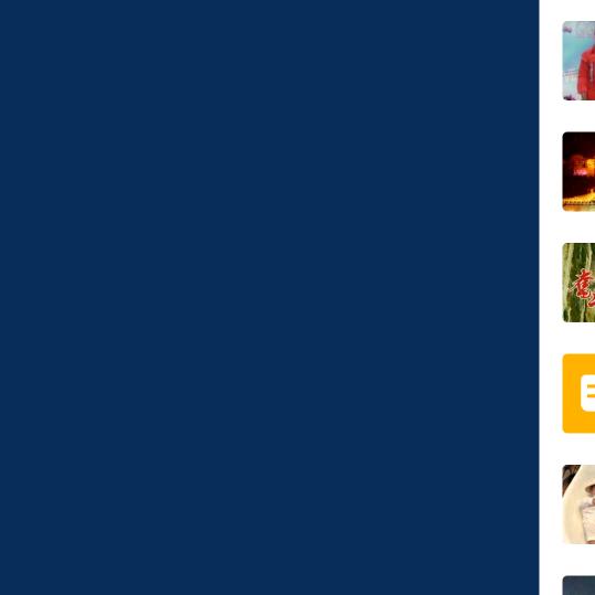 蜜蜂🐝🐝🐝🐝