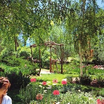 吃了葡萄不吐葡萄皮不吃葡萄倒吐葡萄皮