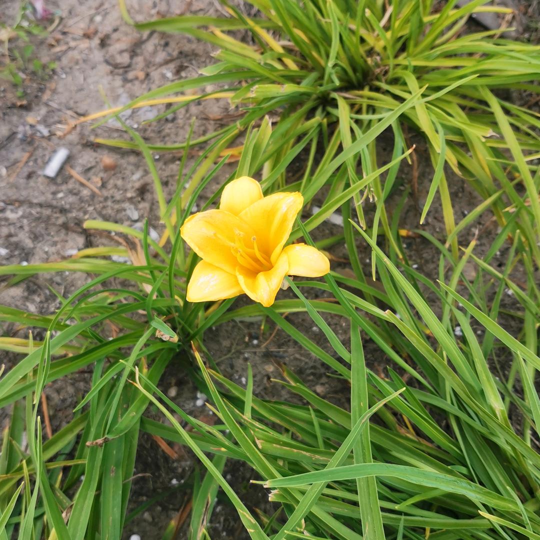 末