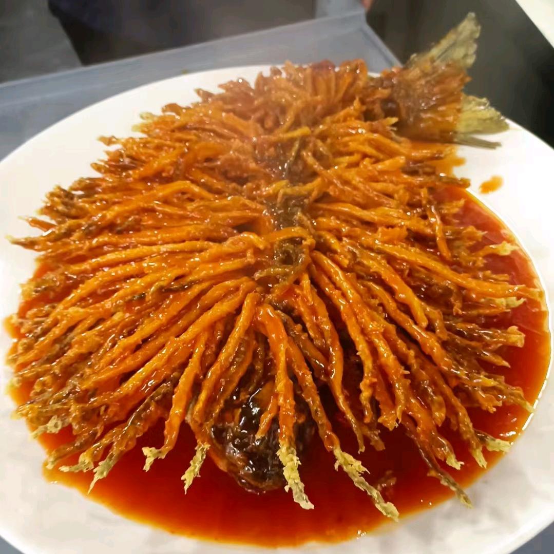 沧州金毛狮子鱼🐟我最棒