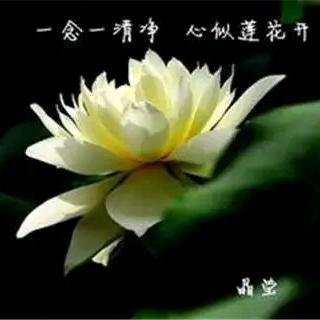 刺梨🌺
