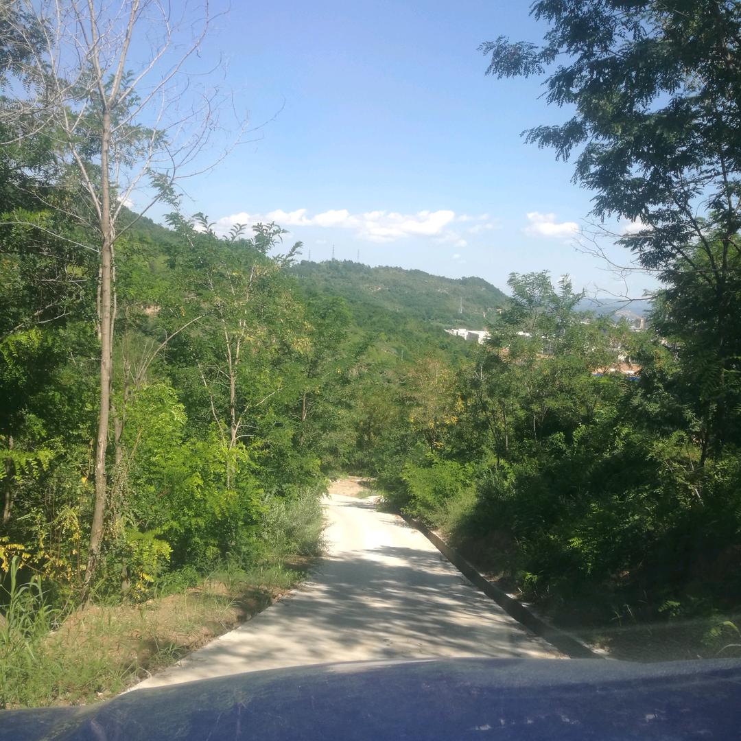 龙龙