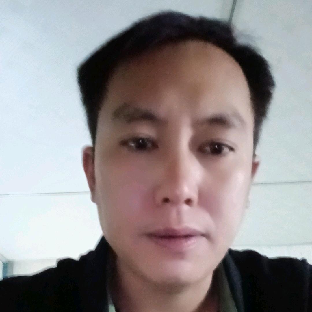 逐影金翅
