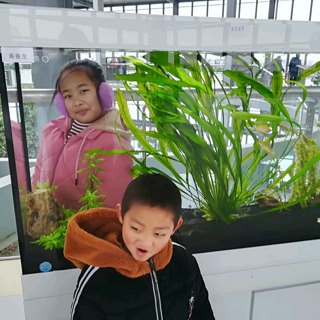 上下册