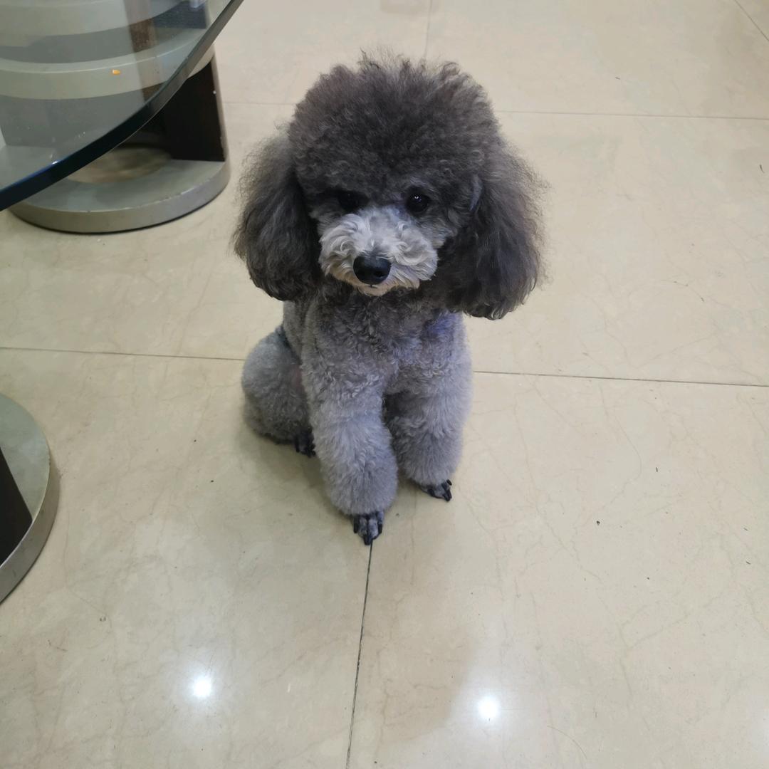 💞终身美丽💞