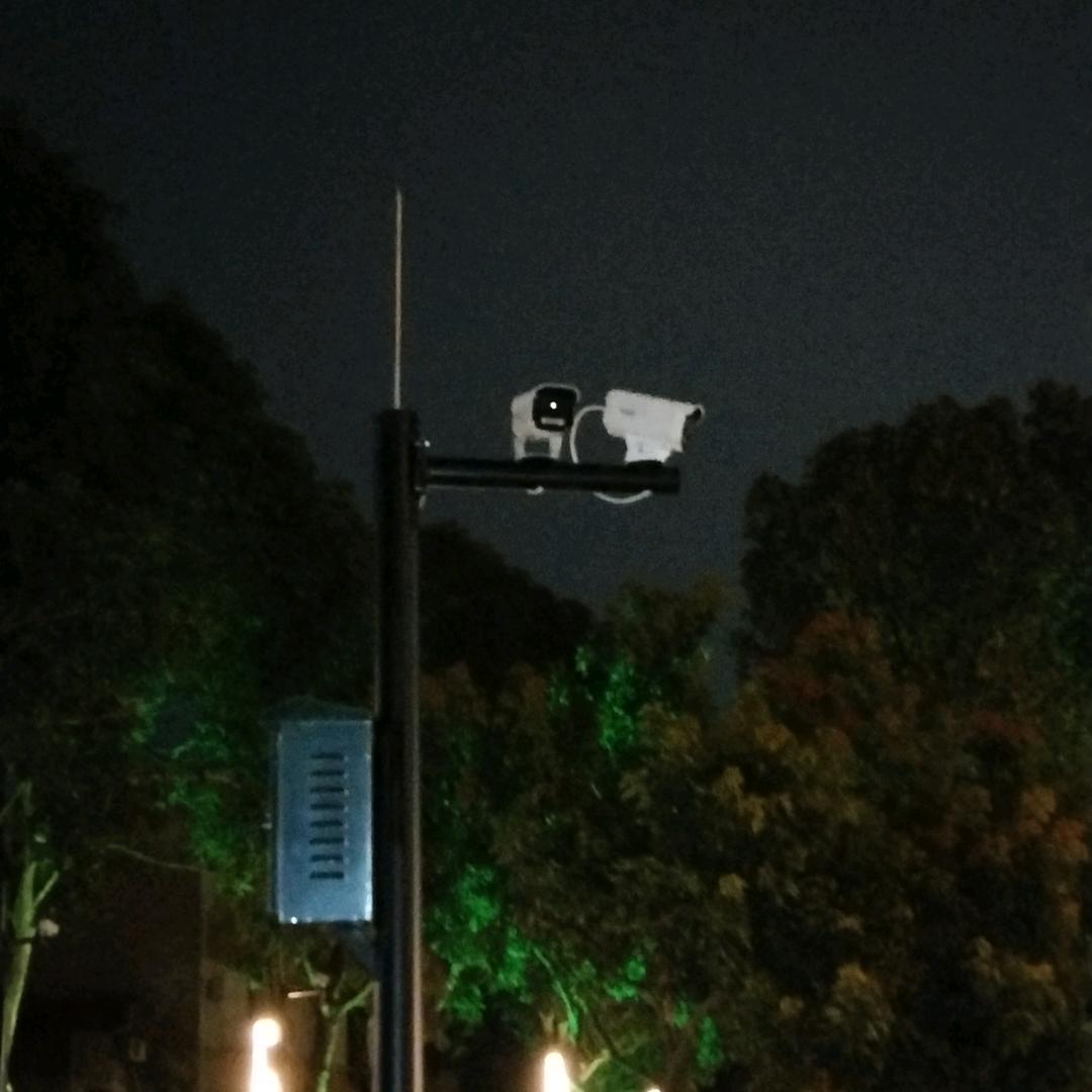 沁已不惜