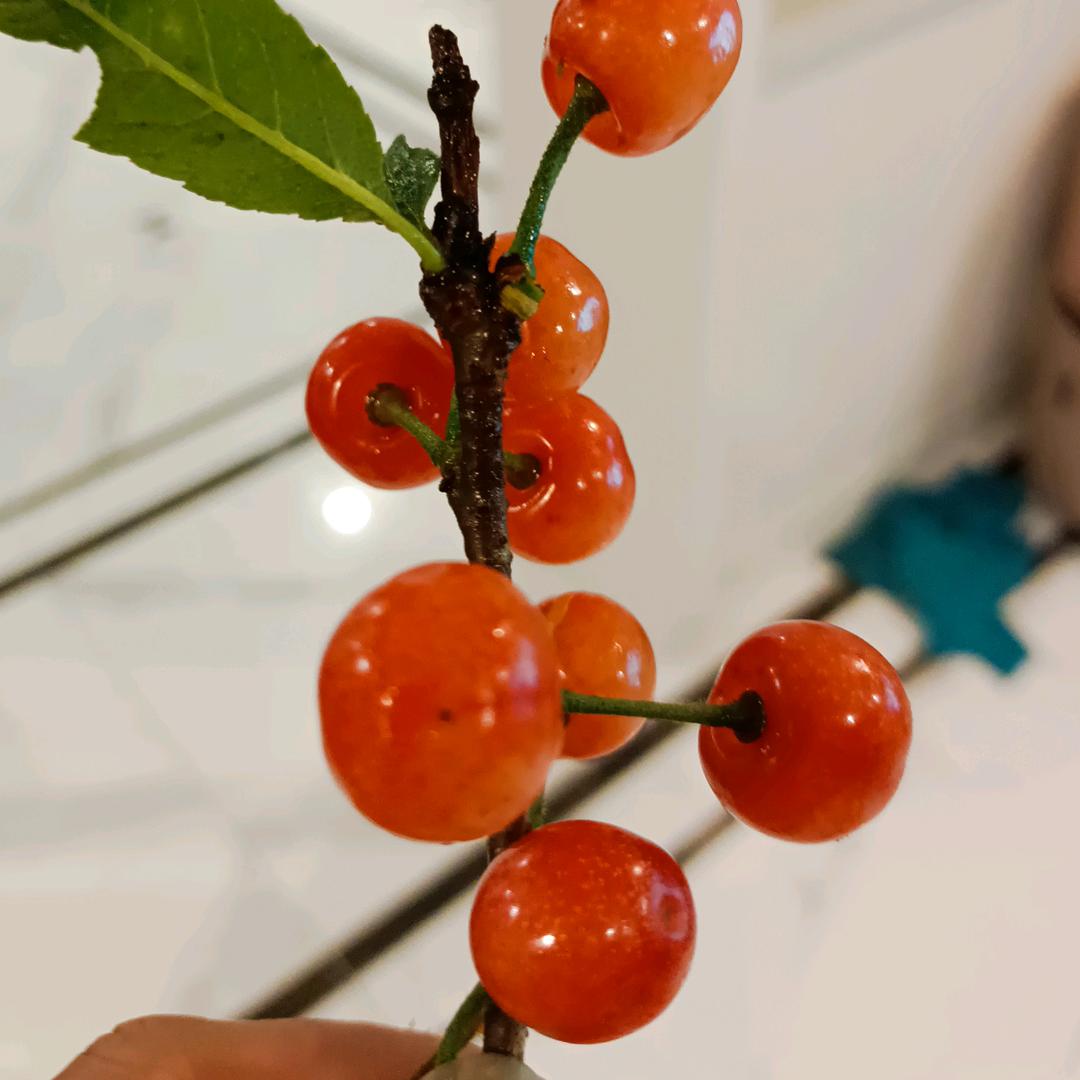 风淡云轻