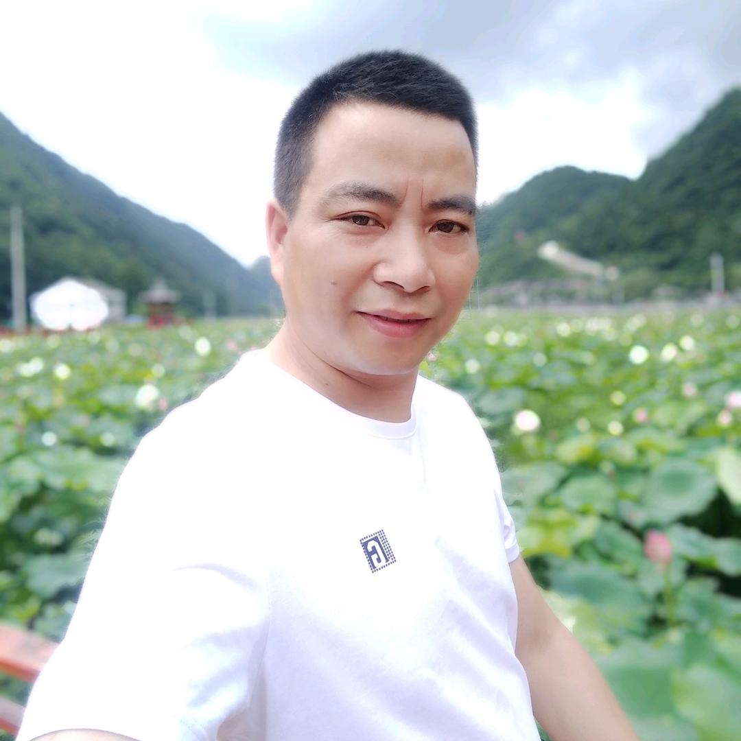 龍鳯呈祥