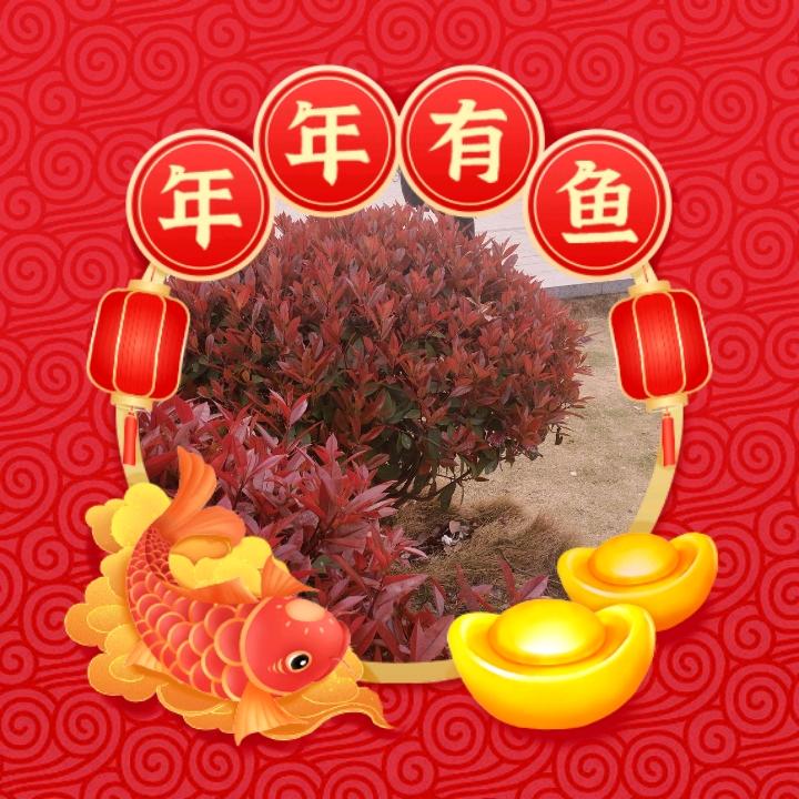 老水