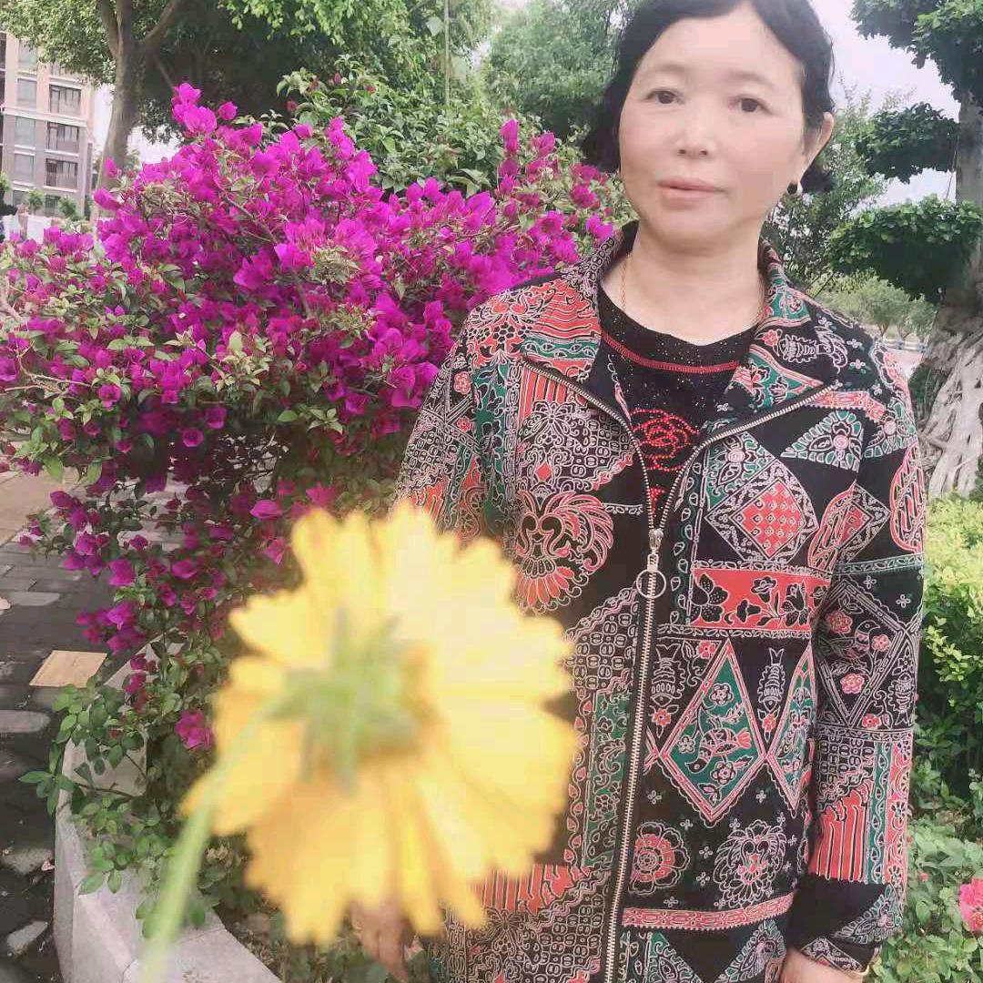 燕燕子