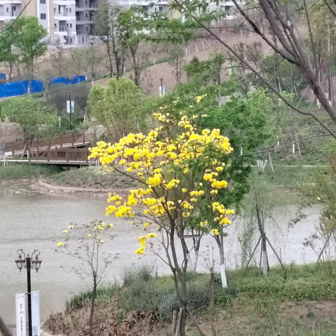 小宝