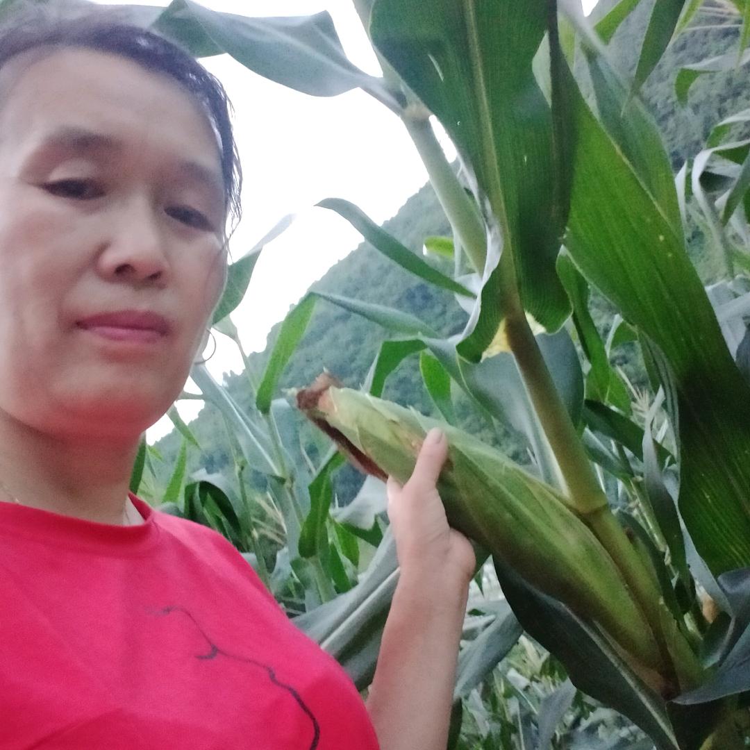 美好的无奈