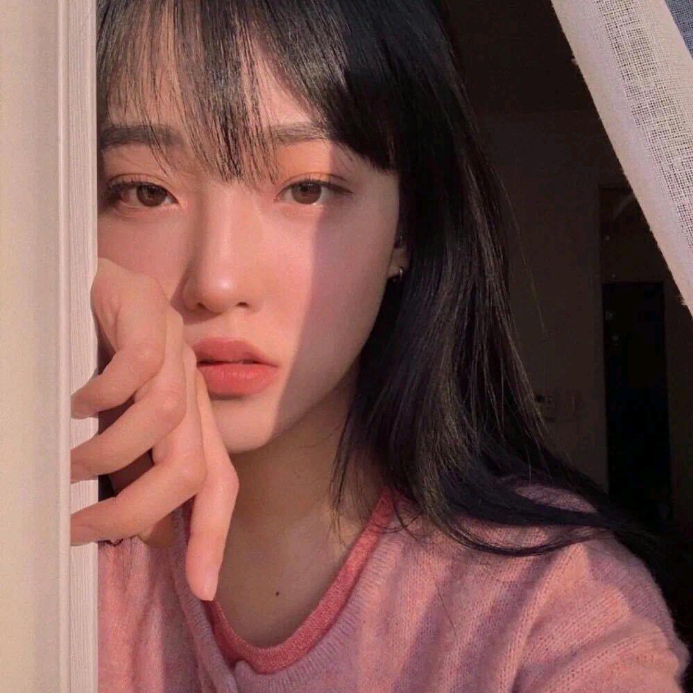 兮雅绿植优选