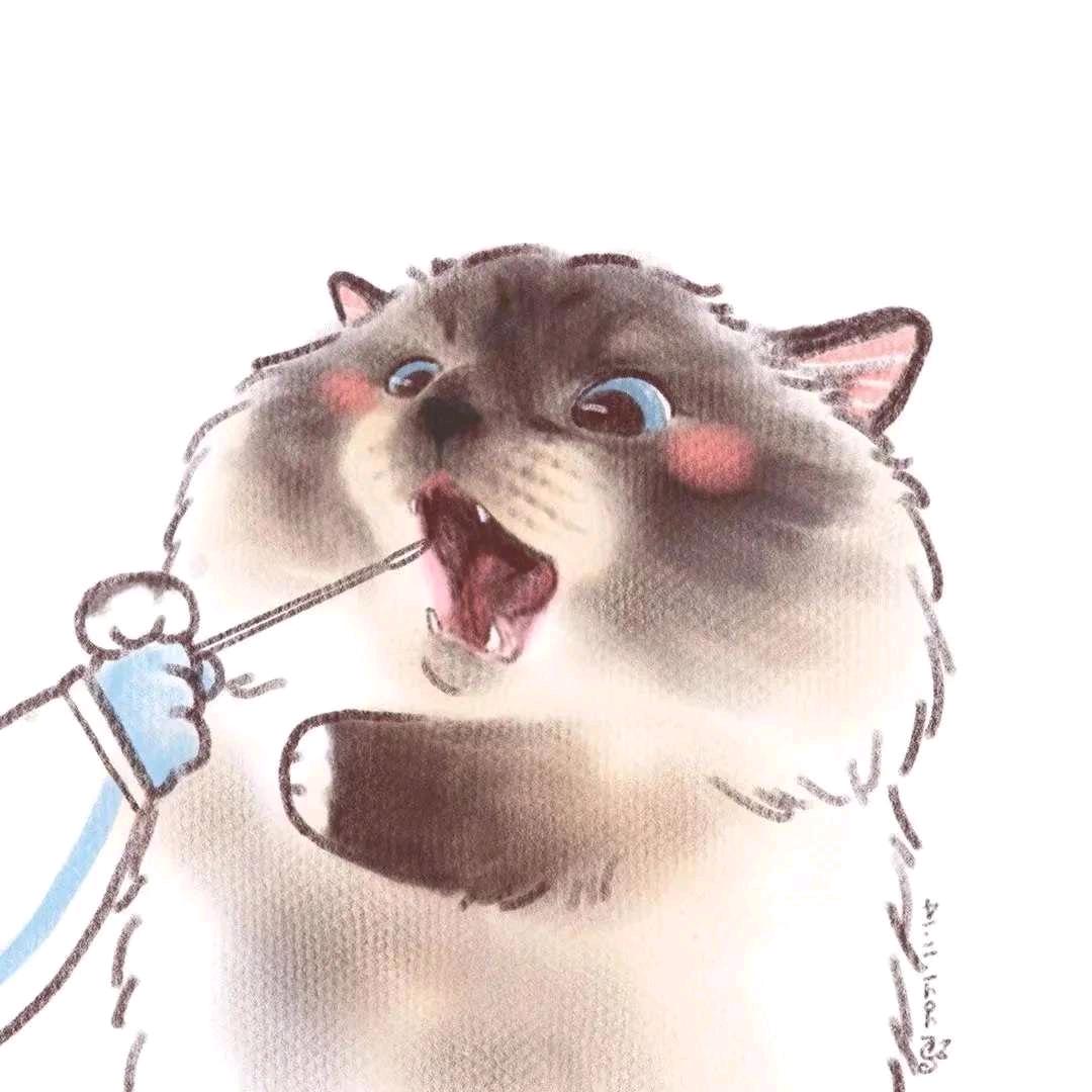 哎呀哎呀