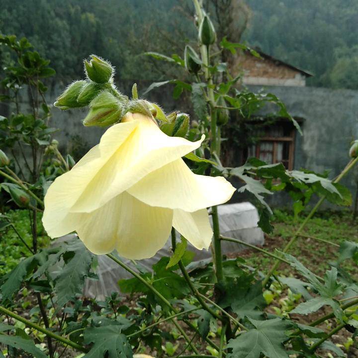 游山玩水