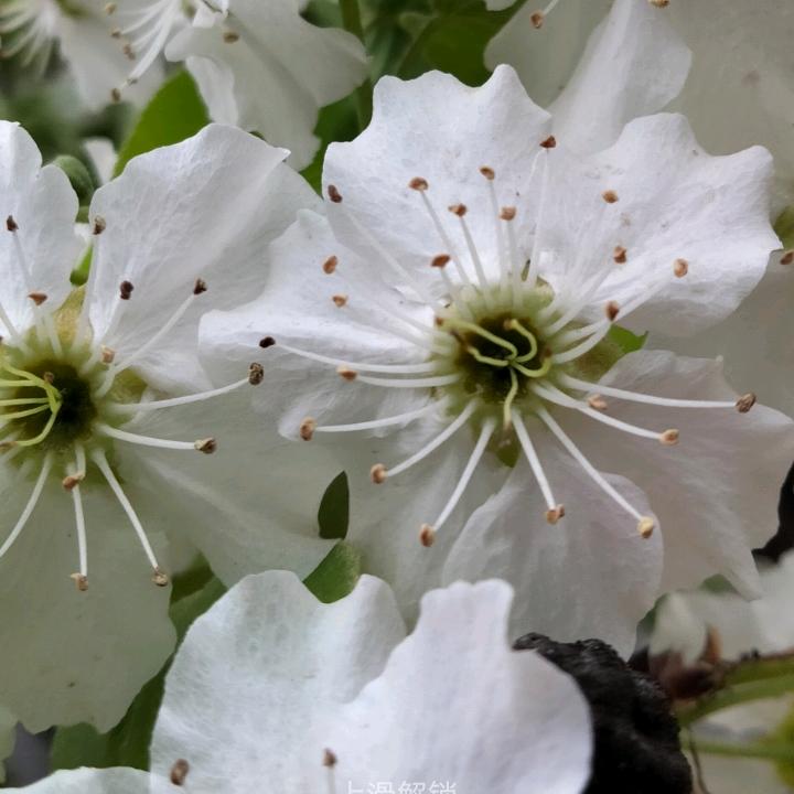 德职厚切炒酸奶、老式拌辣串