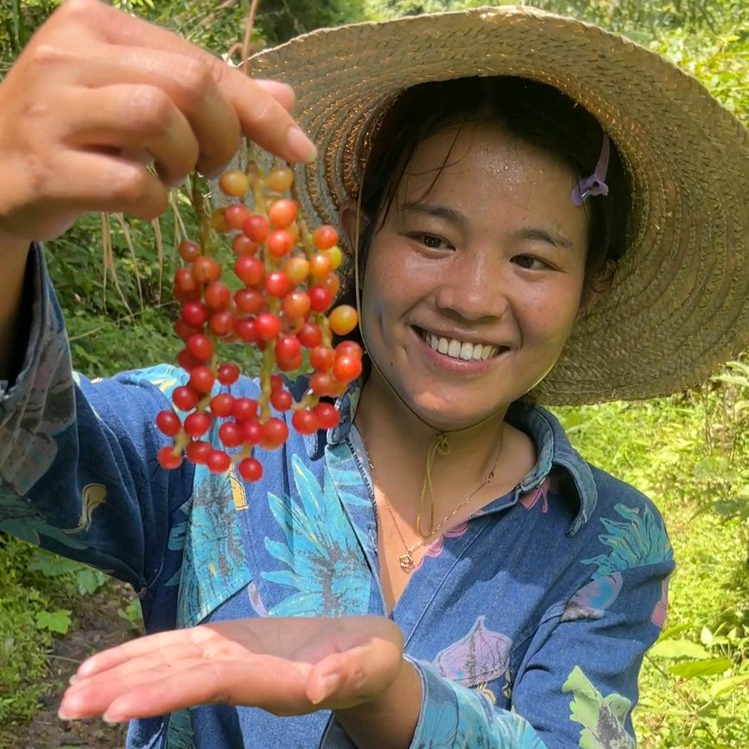 庆元山里妹