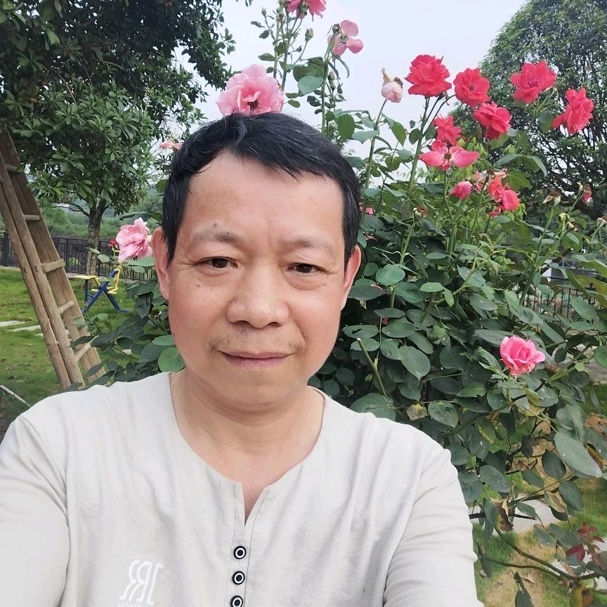 心哥