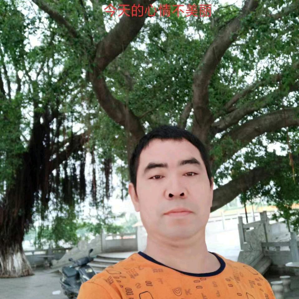 梦想成真