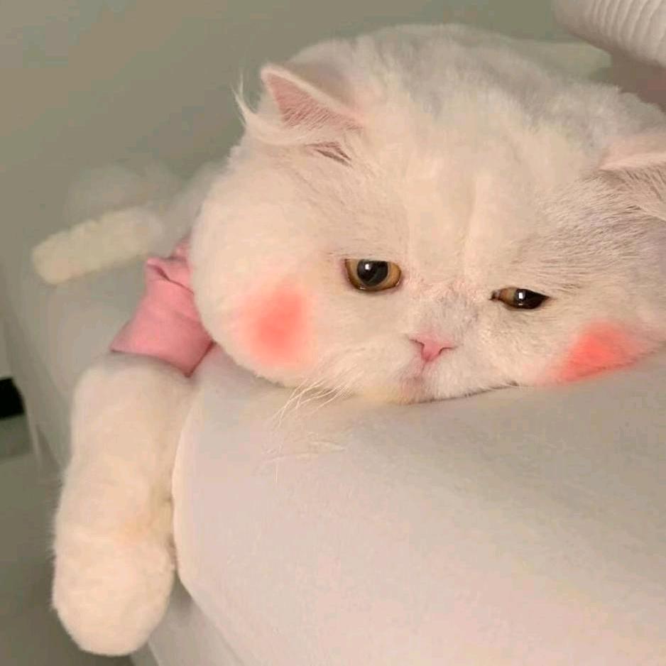 摸十三