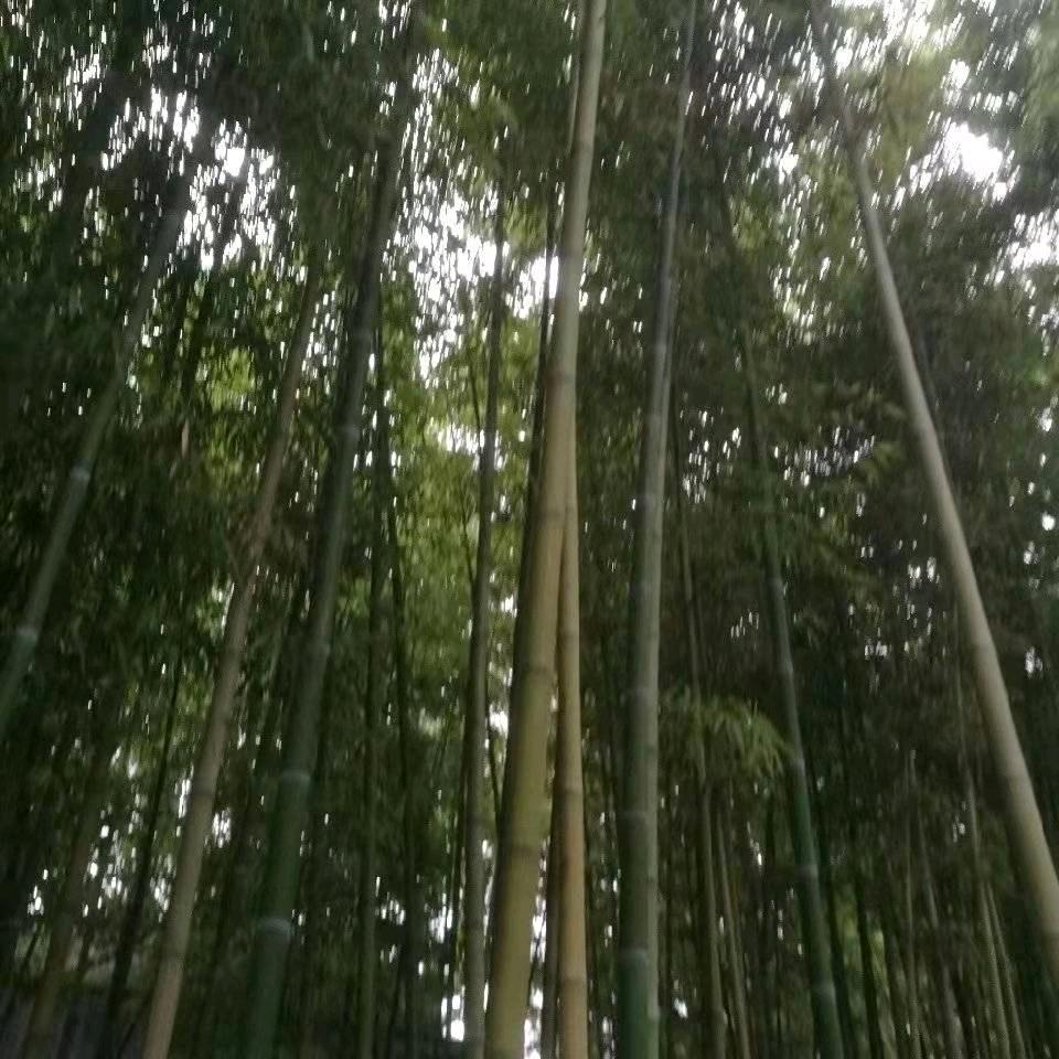 徐姐