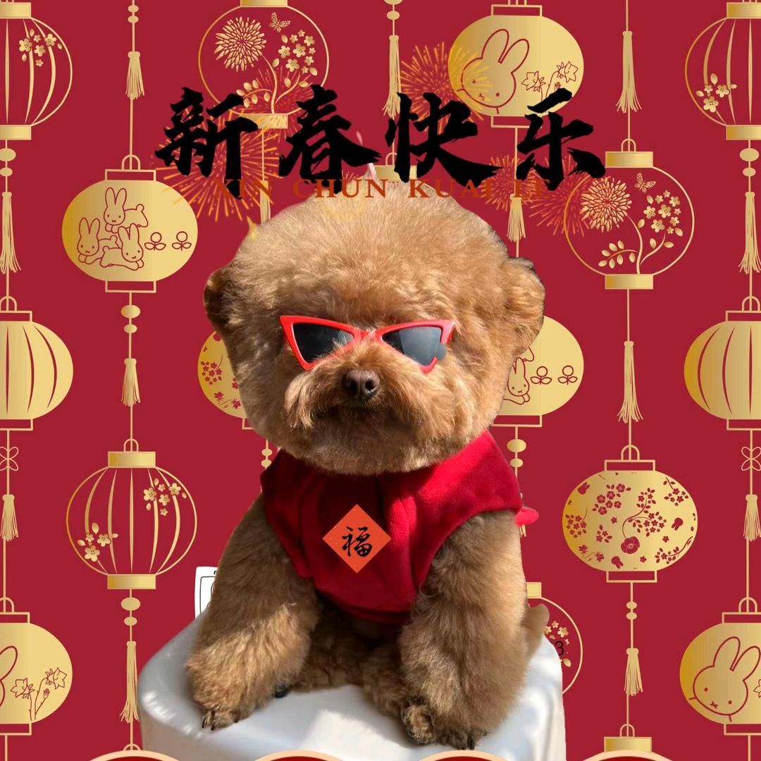 嘟嘟胖