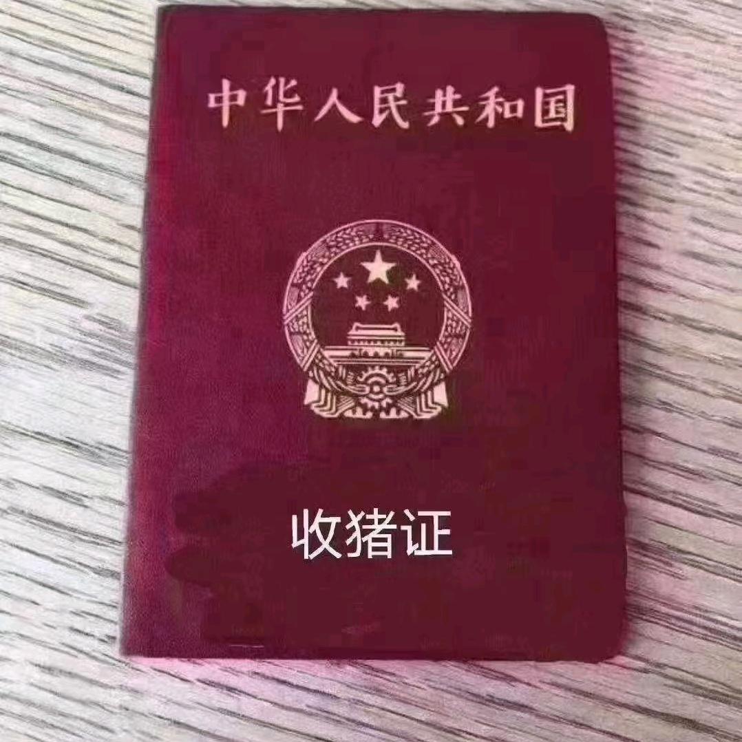 牛辉批发猪精收猪收牛