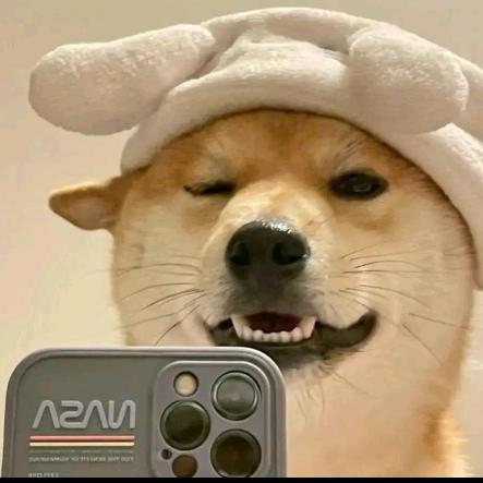 左右