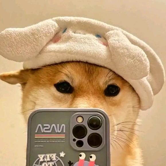 丶氼