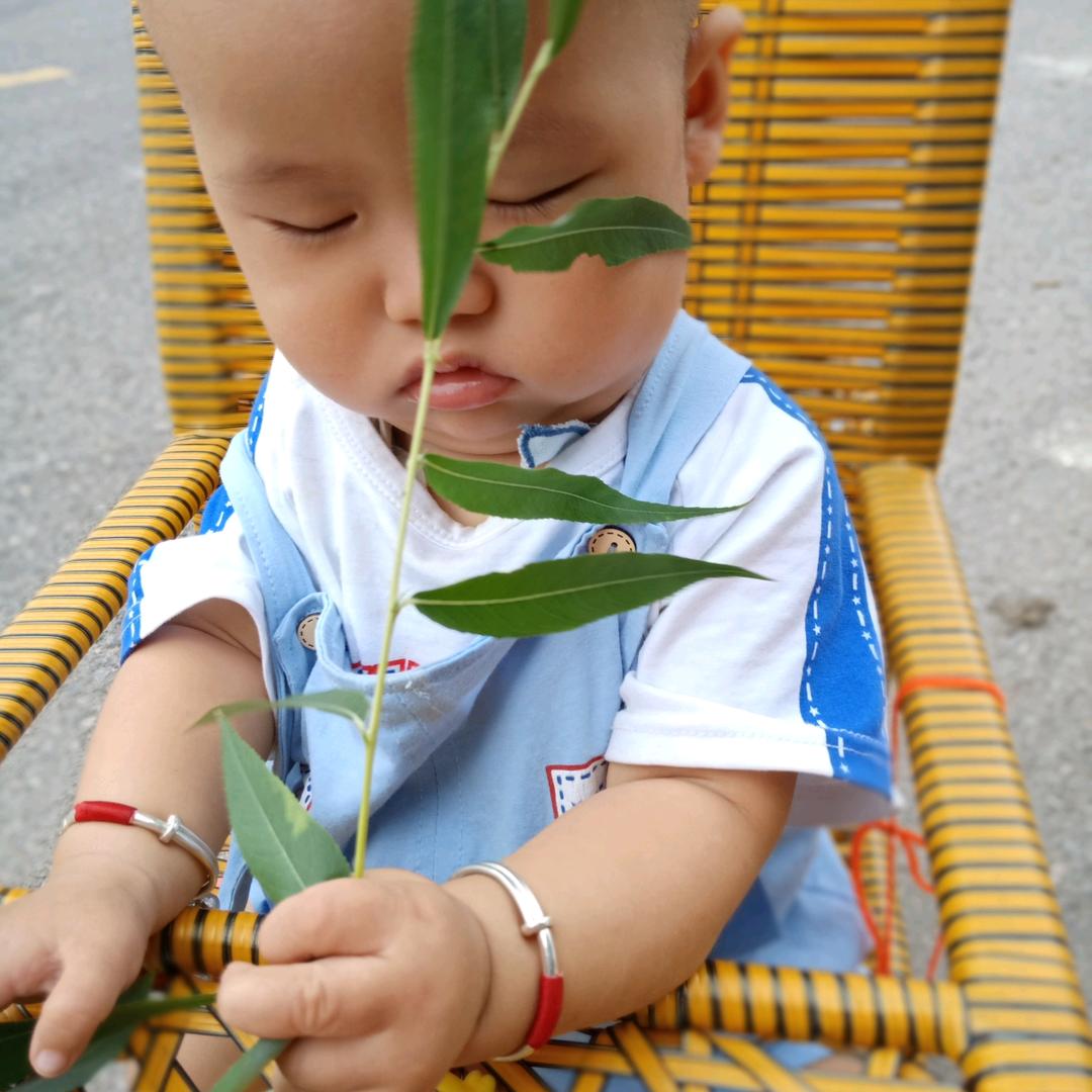 豆豆