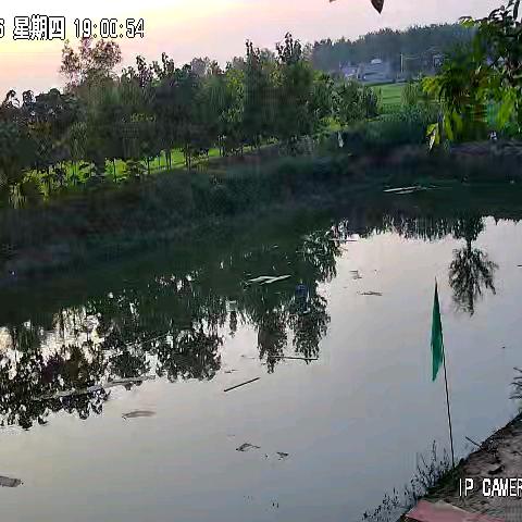 光头陈哥