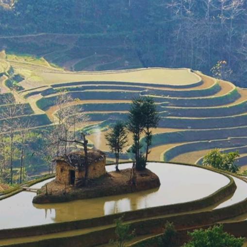 湖北，谭哥