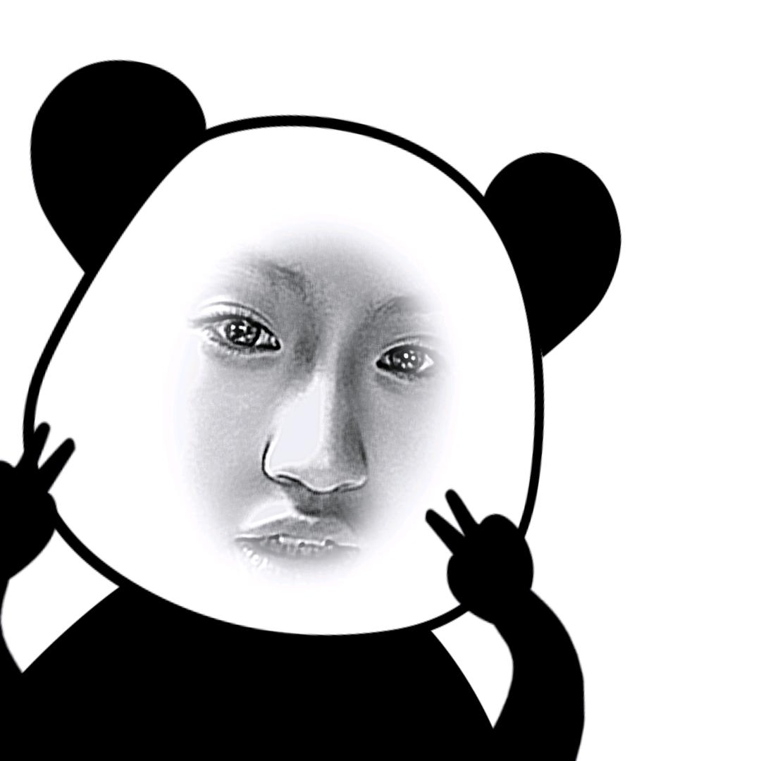 刚哥Plus