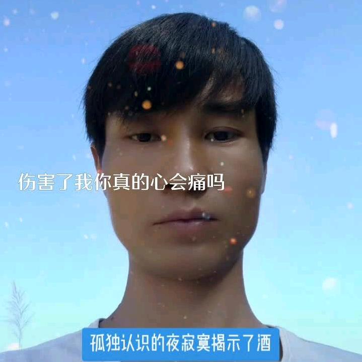 何氏家族