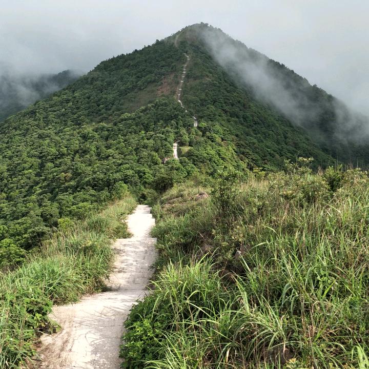 周家庄