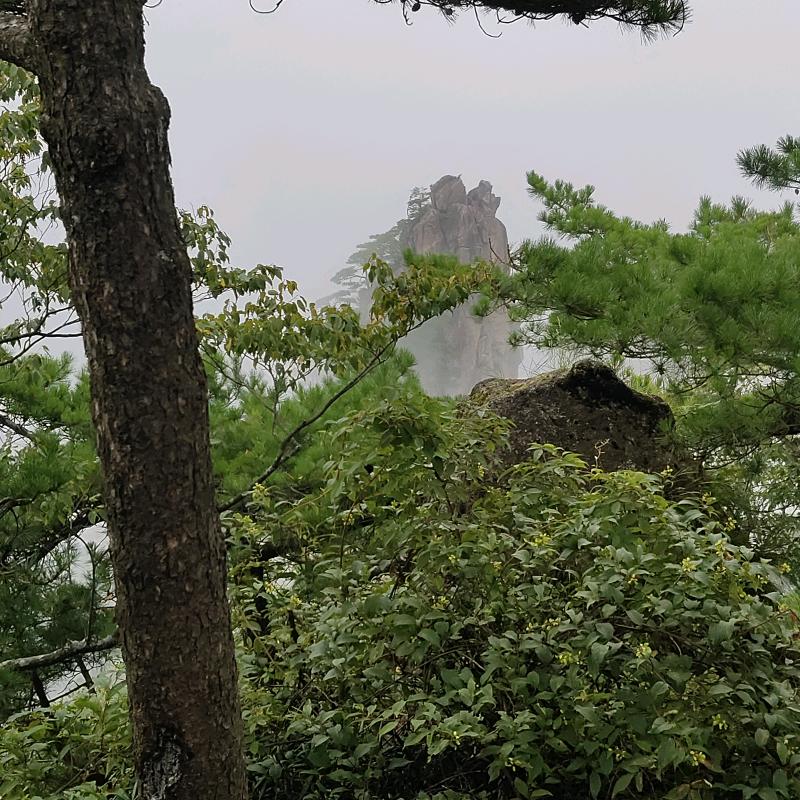 梦醒了心碎了。一笑而过