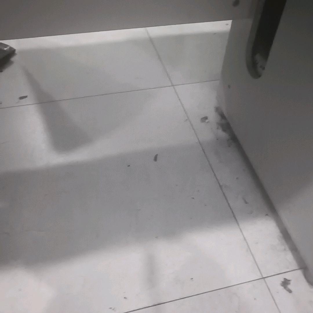 龙一一