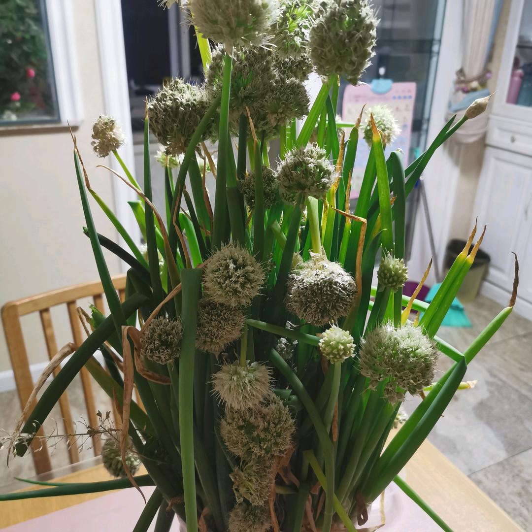 秦海峰（15年保洁物业行业操盘手）