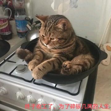 @无尘