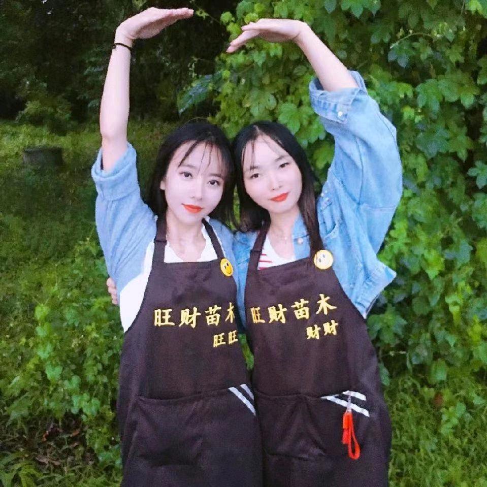 旺财苗木3号苗圃