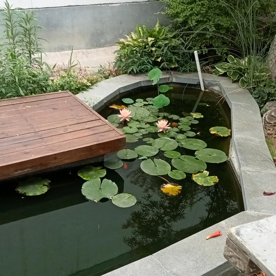 李浩东