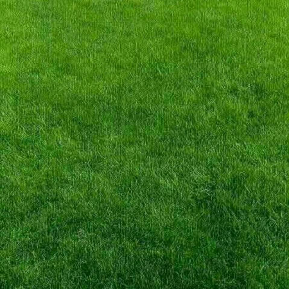 苏德宝