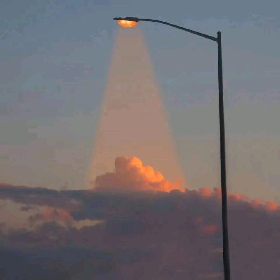 YaN-