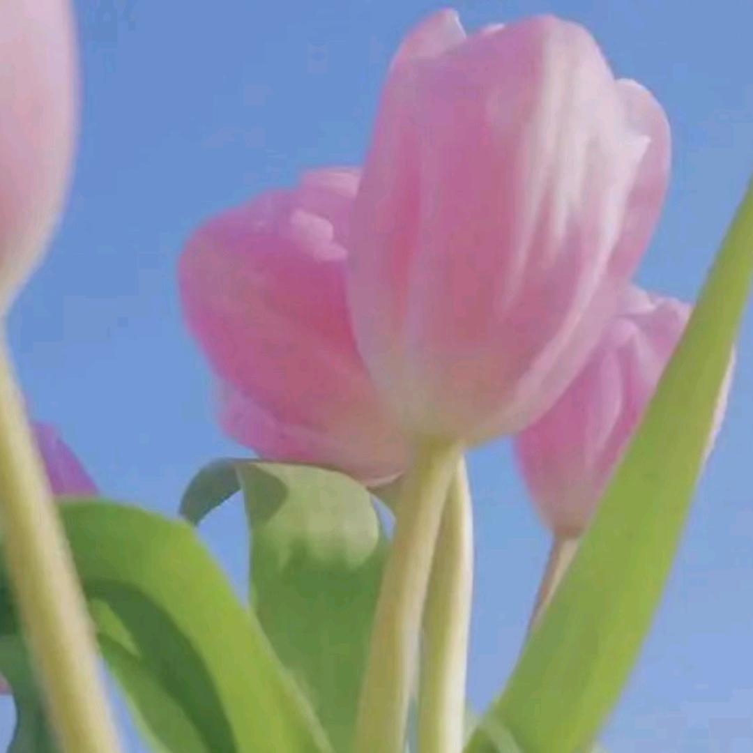顺其自然