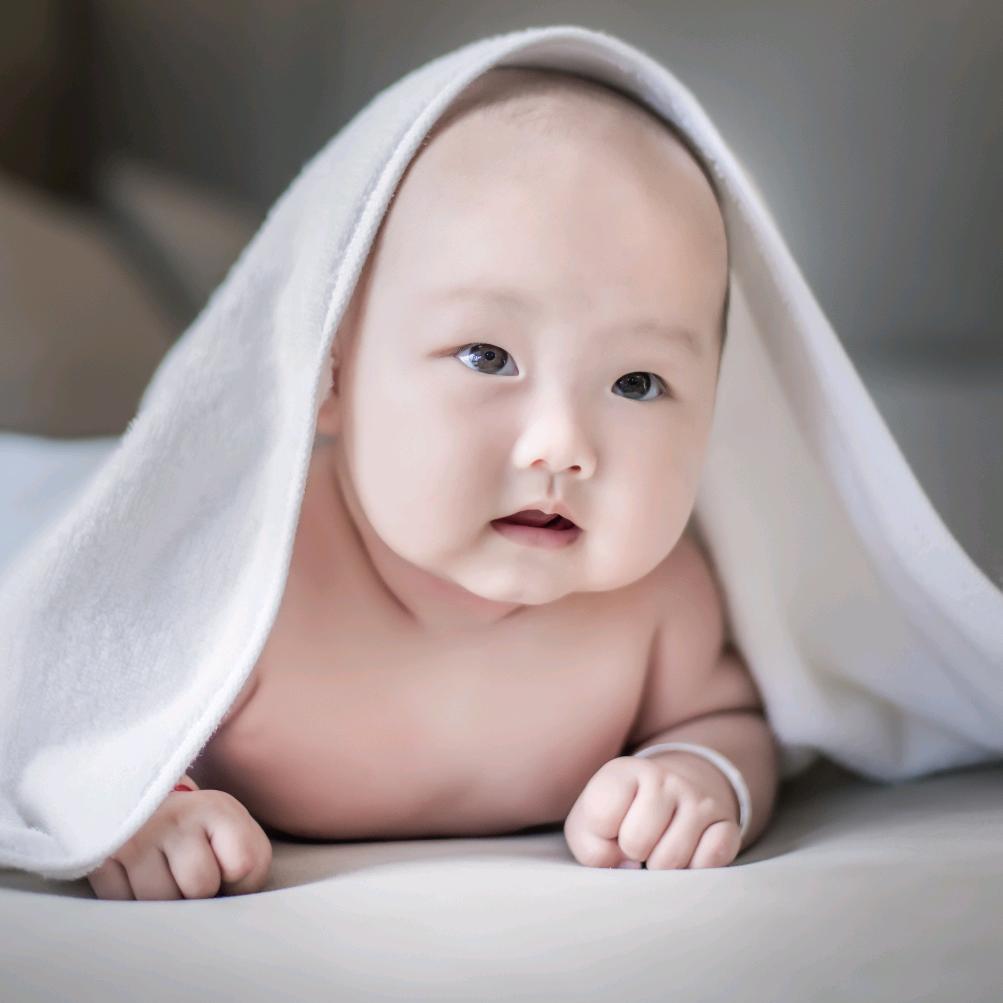 小虎妞