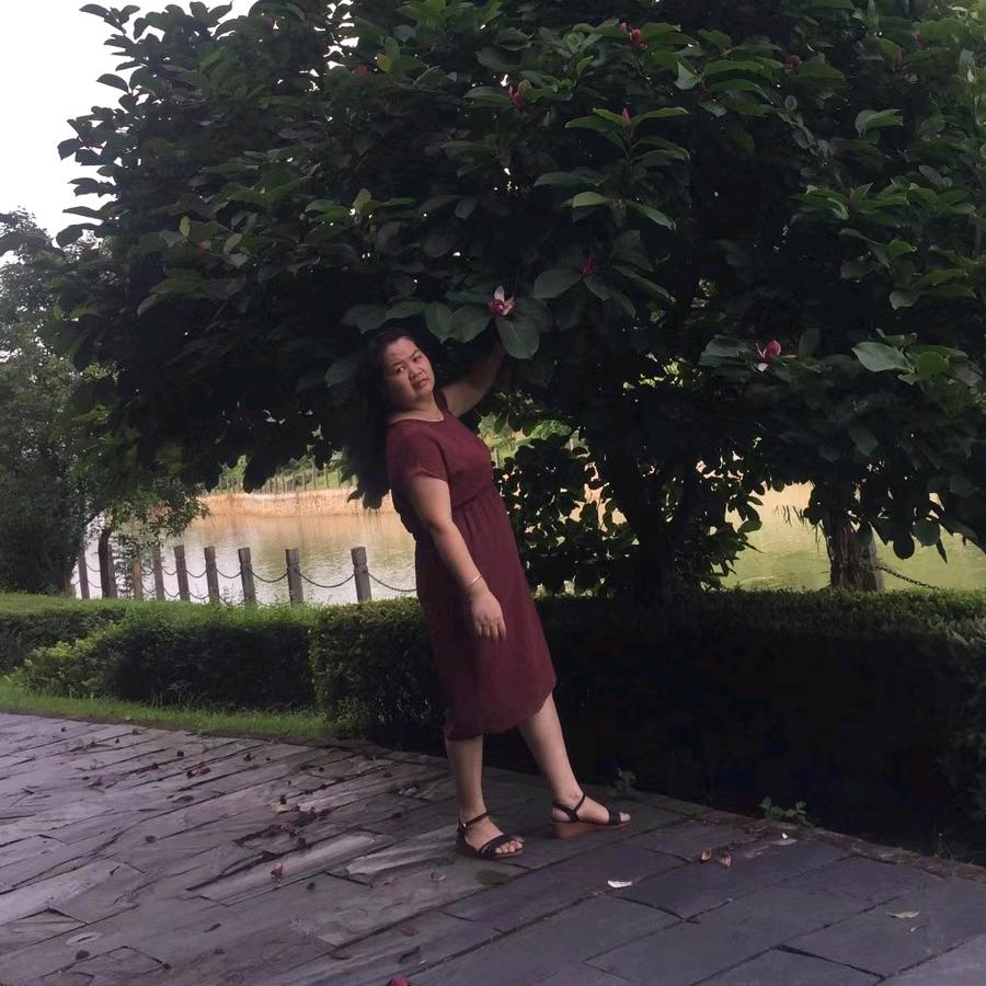 夏季的莲花