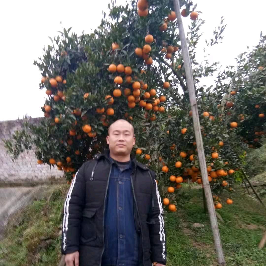 四叶草🍀  小号