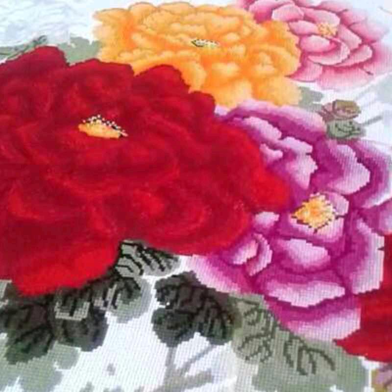 带着面包去流浪