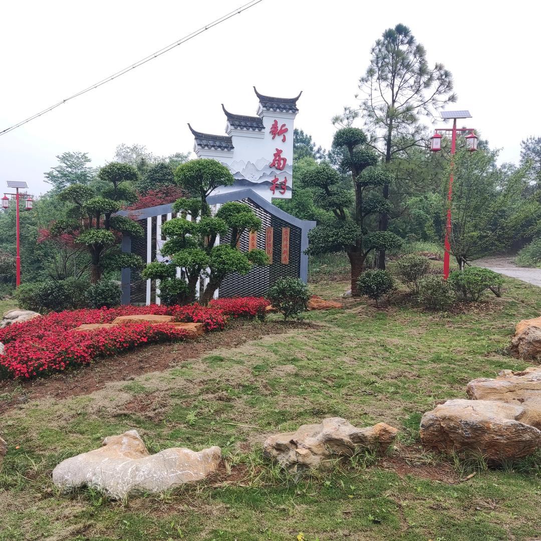 乐悠刘